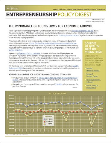 The Importance of Young Firms for Economic Growth | Entrepreneurship Policy Digest (Updated September 2015)