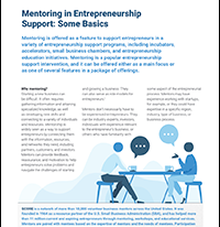 Mentoring in Entrepreneurship Support: Some Basics | Entrepreneurship Issue Brief, No. 4