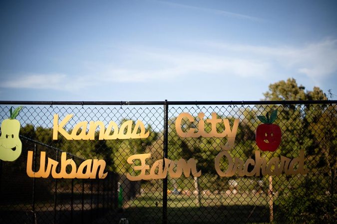 Kansas City Urban Farm Orchard