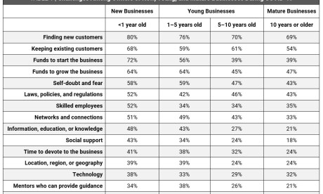 Trends in Entrepreneurship - Challenges by Business Age - Table 1