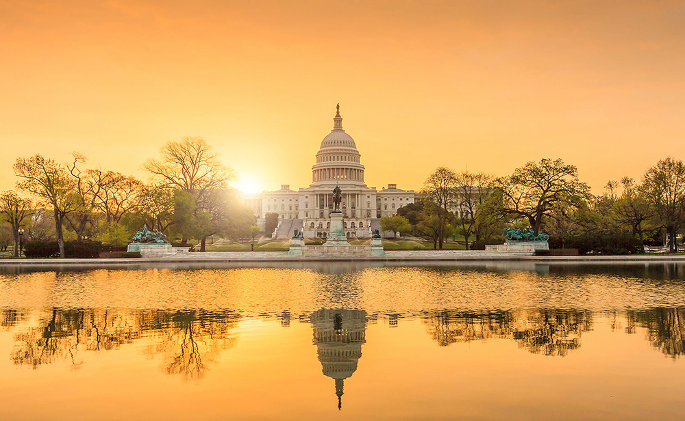 The U.S. Capitol