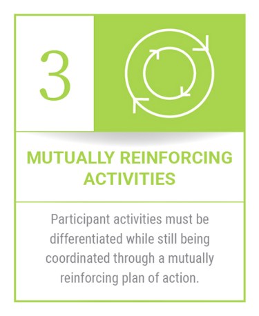 Conditions of Collective Impact #3: Mutually Reinforcing Activities