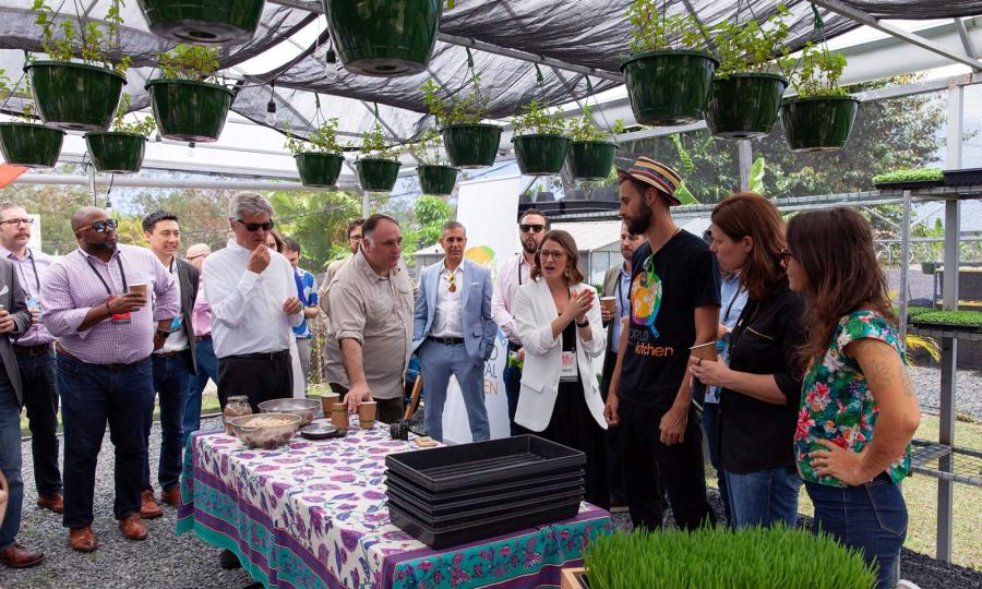 A group of people gather around a table inside a greenhouse.