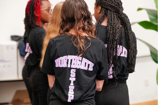 Northgate Steppers