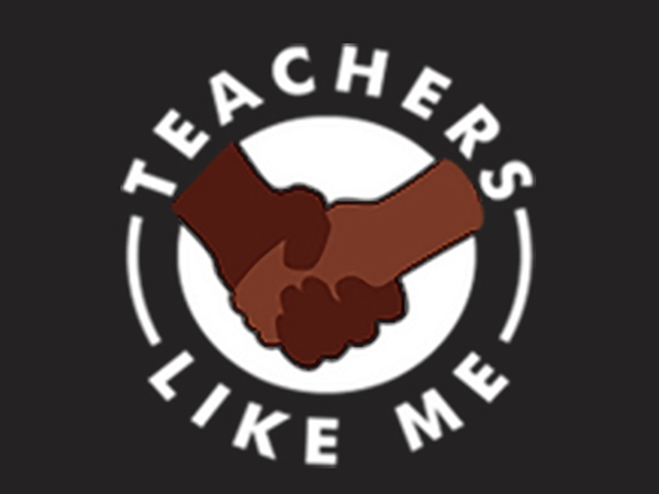 Teachers Like Me logo