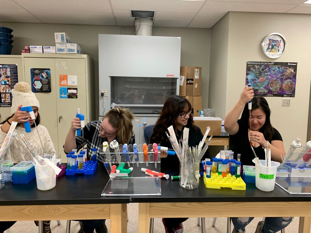 BCSI students in a lab