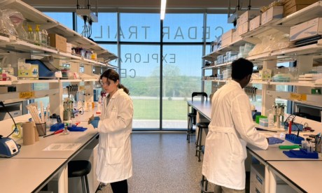 BCSI students in a lab